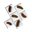 Perma Blend Paulina Osinkowska Ombre Brows Pigmentu Komplekts (6x15ml)