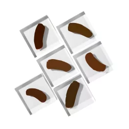 Perma Blend Paulina Osinkowska Ombre Brows Pigmentu Komplekts (6x15ml)
