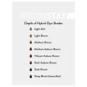 HD Brows BrowStay Hybrid Краска для бровей (15мл)