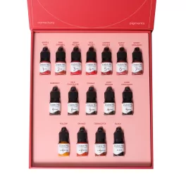 Etalon Mix Albīnas Lazarevas Big Pigment Set (16x5ml)