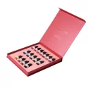 Etalon Mix Albīnas Lazarevas Big Pigment Set (16x5ml)