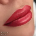Swiss Color 402 Dusty Rose пигмент для губ