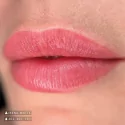 Swiss Color 402 Dusty Rose Lip Pigment
