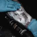 Yumain Tattoo Cleansing Foam (170ml)