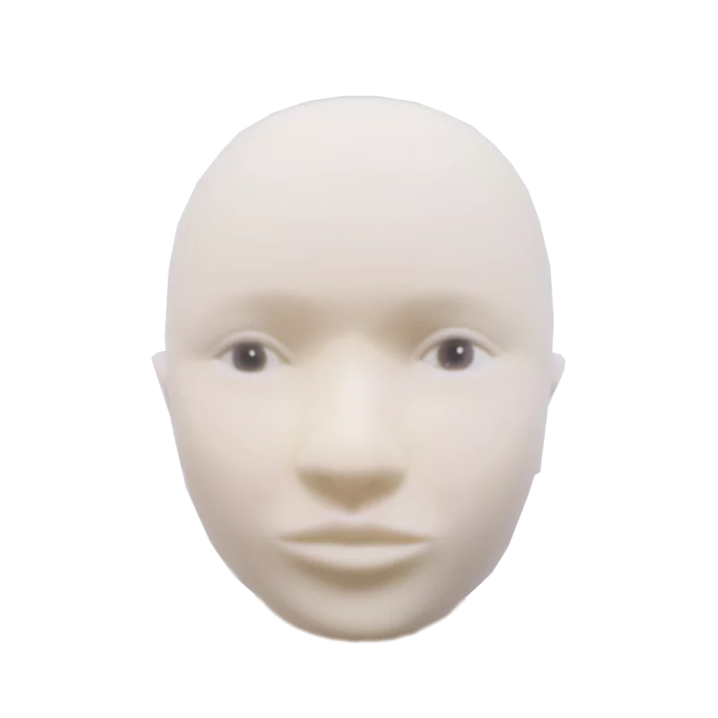 Swiss Color Doll Head Interchangeable Skin