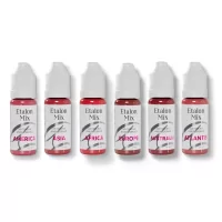 Etalon Mix Lip Set By Antonina Andrusenko (6x5ml)