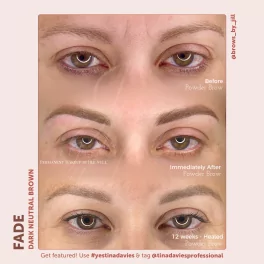 Tina Davies FADE Пигменты для бровей – Dark Neutral Brown (15мл)