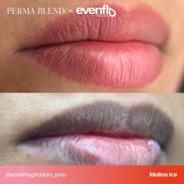 Perma Blend Evenflo Blush Lip Malina Ice (15ml)