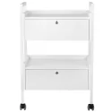 Cosmetology cart Easy Plus