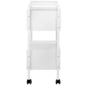 Cosmetology cart Easy Plus