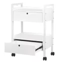 Cosmetology cart Easy Plus