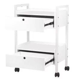 Cosmetology cart Easy Plus
