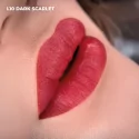 AS COMPANY L10-Dark Scarlet (Opium Colors) - 6ml/15ml
