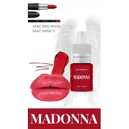 AS COMPANY Paradise By Alina Shakhova Hybrid Lip Set (6x6ml)