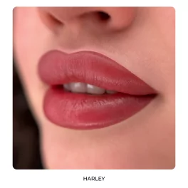 AS COMPANY Harley Quinn By Alina Shakhova Hybrid Набор для губ (6x6ml)