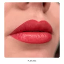 AS COMPANY Harley Quinn By Alina Shakhova Hybrid Lūpu Komplekts (6x6ml)