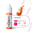 The Pigment Mandarine Corrector Pigments