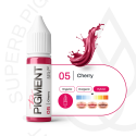 The Pigment 05 Cherry Pigments