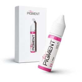 The Pigment 11 Kiss Pigments (15ml)