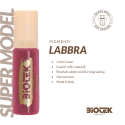 Biotek Supermodel Pigments (15ml)