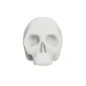 White Silicone Practice Skull (54×32×43cm)