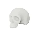 White Silicone Practice Skull (54×32×43cm)