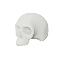 White Silicone Practice Skull (54×32×43cm)