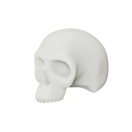 White Silicone Practice Skull (54×32×43cm)
