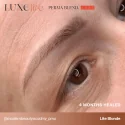 Perma Blend Luxe Lite PMU Пигмент Lite Blonde (15ml)