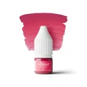 The Pigment Discovery Pigment Kit (8x3ml)