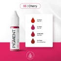 The Pigment Discovery Набор пигментов (8x3ml)