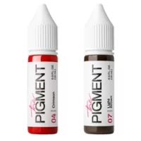 The Pigment